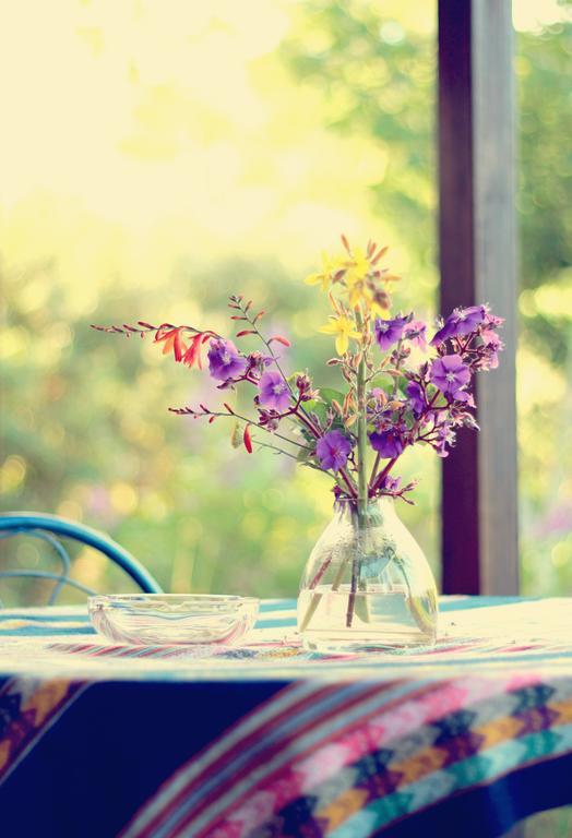 Pear Tree Cottage Stormsrivier Dış mekan fotoğraf