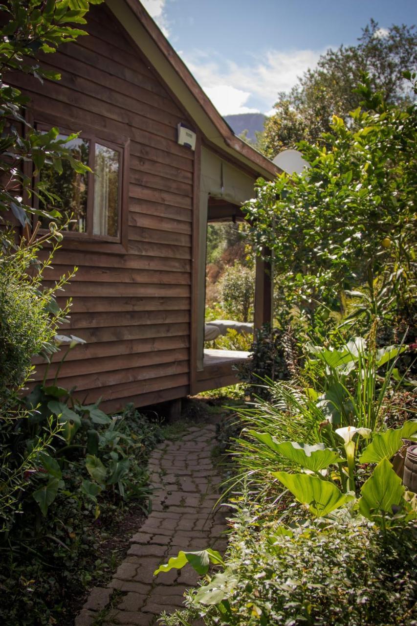 Pear Tree Cottage Stormsrivier Dış mekan fotoğraf