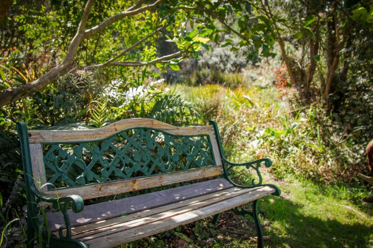 Pear Tree Cottage Stormsrivier Dış mekan fotoğraf